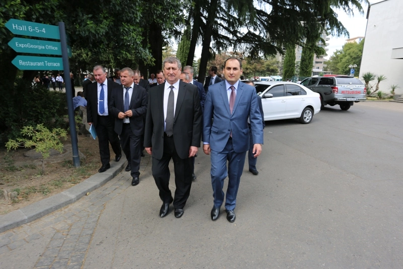 დიმიტრი ქუმსიშვილმა საქართველო-ბელარუსის საქმიანი საბჭოს პირველი სხდომა გახსნა
