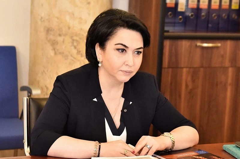 მაია ცქიტიშვილს ვინმემ მაინც უთხრას, რომ ნუ აკეთებს ასეთ ბეც და უპასუხისმგებლო განცხადებებს - ეკა ბესელია