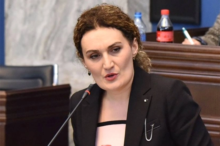 არჩილ ტატუნაშვილის არაადამიანური წამებისა და მკვლელობის ფაქტზე ყველა ინსტრუმენტი ამოქმედებულია - ციხელაშვილი