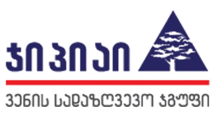 ინდივიდუალური ჯანმრთელობის დაზღვევის მიმართულებით  ჯიპიაი ჰოლდინგი ლიდერობს