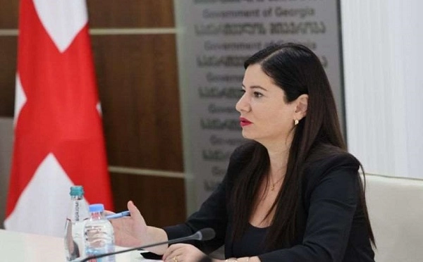ცდილობენ სკანდალის აგორებას იმასთან დაკავშირებით, რომ ირაკლი ღარიბაშვილი აშშ-ში გაემგზავრა შვილთან ერთად, პრემიერის მგზავრობის თუ ნებისმიერი სხვა ხარჯი, სახელმწიფო ბიუჯეტიდან არ გაწეულა - ნინო გიორგობიანი