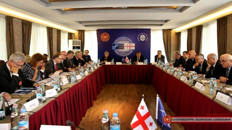 NAC-ის დელეგაციის შეხვედრა სამოქალაქო საზოგადოების წარმომადგენლებთან