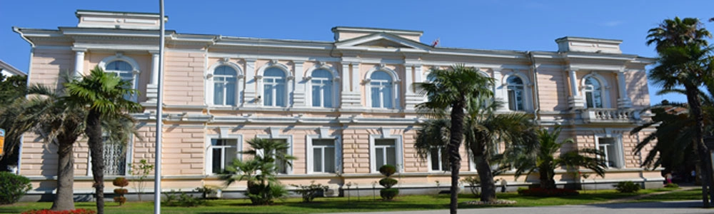 ბათუმის ბიუჯეტიდან სასწრაფო დახმარების ავტომანქანების შესაძენად 280 ათასი ლარი გამოიყოფა