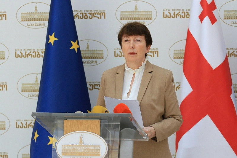 სევდია უგრეხელიძემ ორგანიზაციის ,,კონსტიტუციის 42-ე მუხლი“ წარმომადგენელთან ერთად ბრიფინგი გამართა