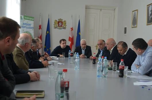 თორნიკე გვაზავა რეგიონებში მოსახლეობის შეშით უზრუნველყოფის პროცესს ადგილზე გაეცნო