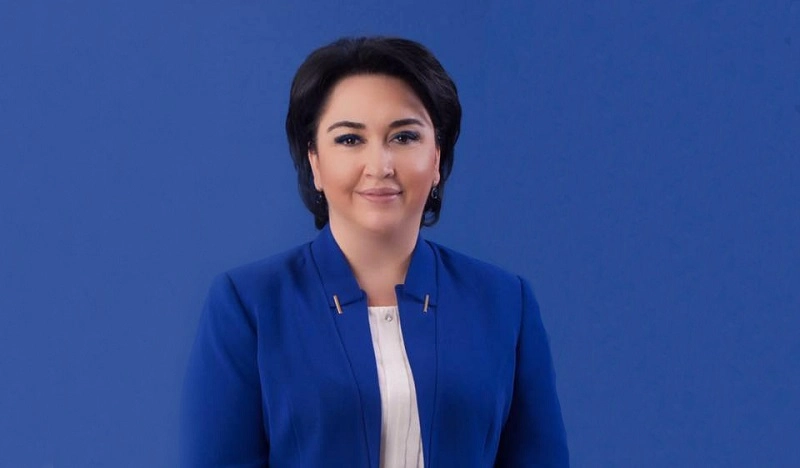  კობახიძის იმპიჩმენტის პროცესს თუ დავიწყებ, ბოლომდე მივიყვან - ეკა ბესელია