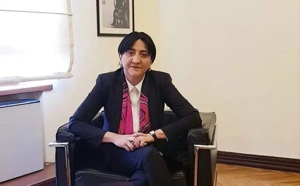 კობახიძეს ქართულ პოლიტიკაში ცილისწამების, შუღლისა და სიძულვილის მეტი არაფერი მოუტანია -  ირმა ინაშვილი