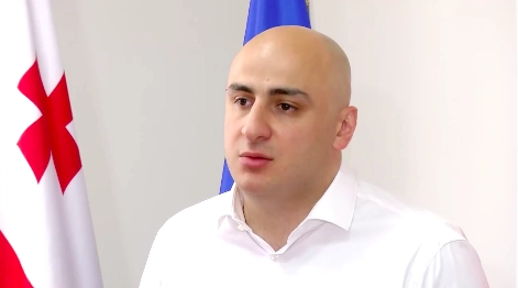 „უხერხულია როდესაც ყველა გამოსვლას იწყებთ და ამთავრებთ ფრაზით, - "მადლობა ბატონ ბიძინას" - ნიკა მელია
