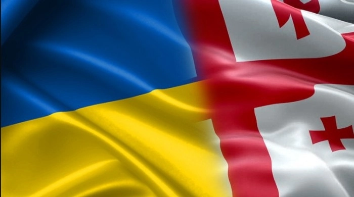 ჩვენი ერთობლივი ძალისხმევა არ შეწყდება უკრაინისა და საქართველოს ტერიტორიული მთლიანობის აღდგენამდე - უკრაინის საგრეო საქმეთა მინისტრი