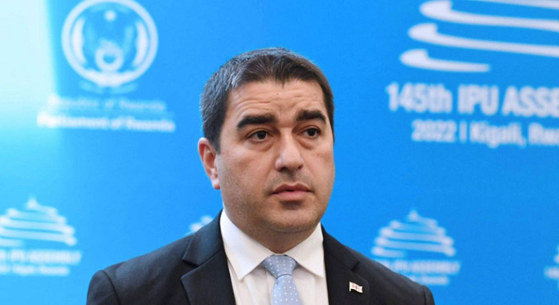 შესწორების ავტორები იყვნენ „ნაციონალური მოძრაობა“ და რამდენიმე უკრაინელი პოლიტიკოსი, რომლებიც აკნინებენ ევროსაბჭოს რეზოლუციის მნიშვნელობას - პაპუაშვილი