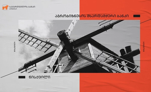  საქართველოს ბანკის მხარდაჭერით გურიაში, სოფელ დვაბზუში წისქვილი აშენდა
