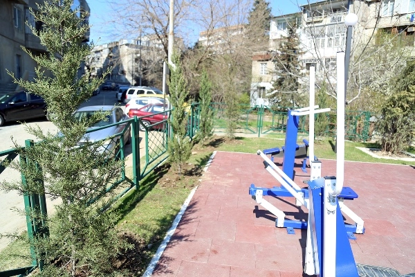 საბურთალოს რაიონში გამწვანების აქცია გაიმართა