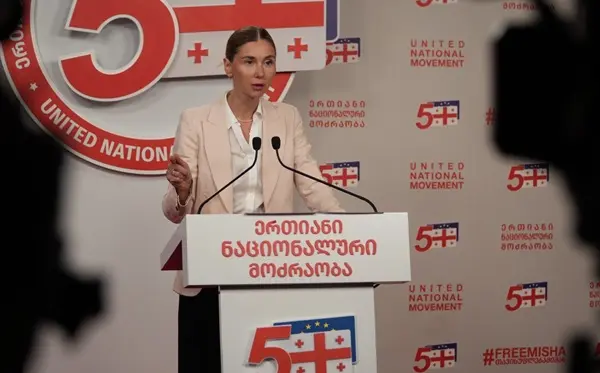 მე წინააღმდეგი ვიყავი “ოპოზიციის ალიანსში” შესვლის, სააკაშვილი კი თვლიდა, რომ ენმ გახდებოდა თავდასხმის ობიექტი და მას პირადად დაბრალდებოდა ერთობის ჩაშლა - თინა ბოკუჩავა