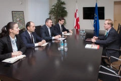 ოთარ დანელია USAID-ის დირექტორს შეხვდა