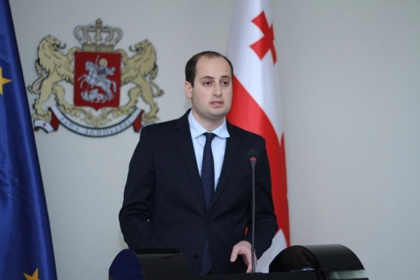 საგარეო საქმეთა მინისტრის პირველ მოადგილედ მიხეილ ჯანელიძე დაინიშნა
