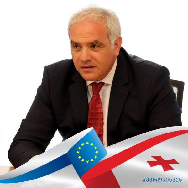 „ხელისუფლებამ ყველა პირობა პირნათლად შეასრულა" - გიორგი მღებრიშვილი ვიზალიბერალიზაციაზე