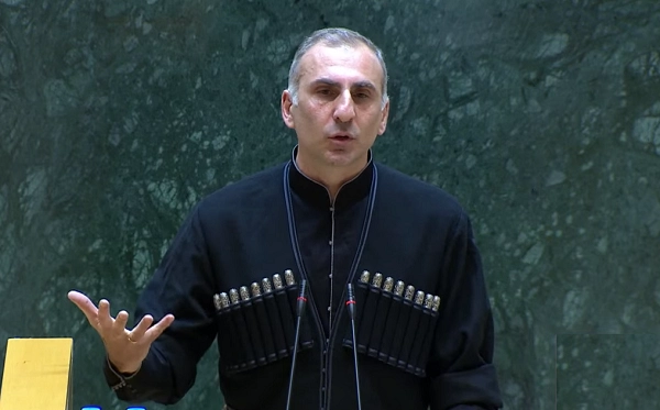 ჩინეთიდან უვიზოდ ერთი სოფელი რომ დაიძრას, რას ვაკეთებთ მერე? - ალეკო ელისაშვილი
