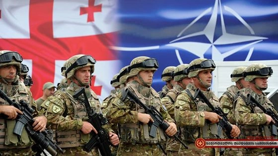 საქართველოს შეიარაღებული ძალები 25 წლისაა