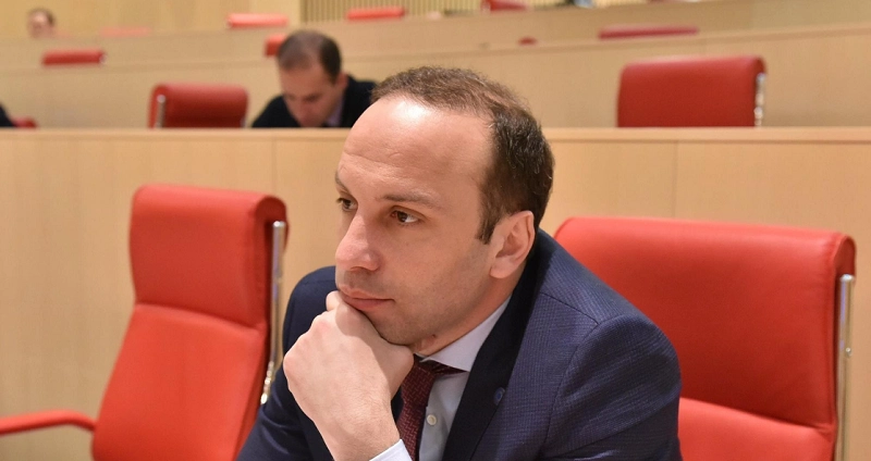 უზენაესი სასამართლოს მოსამართლეობის კანდიდატების სია ჩავარდა, რაშიც ეკა ბესელიას ლომის წილი მიუძღვის - ლევან გოგიჩაიშვილი