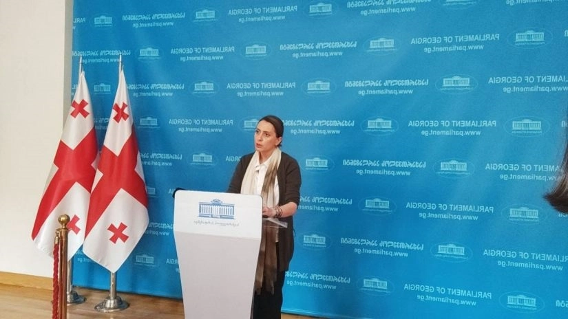 ყველა პარამეტრი არის ძალიან მძიმე - დეკანოიძე  სააკაშვილზე