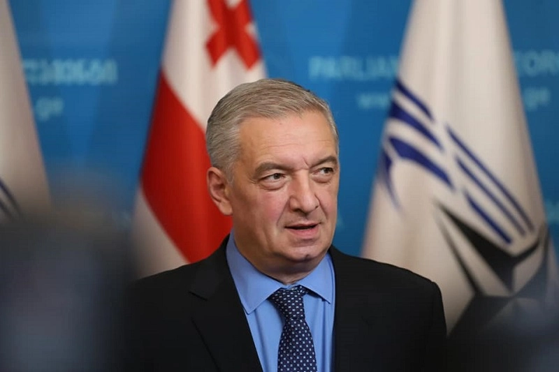 ევროპარლამენტართა შემადგენლობით ფაქტების დამდგენი კომისიის შექმნა გადაწყდა - ვოლსკი