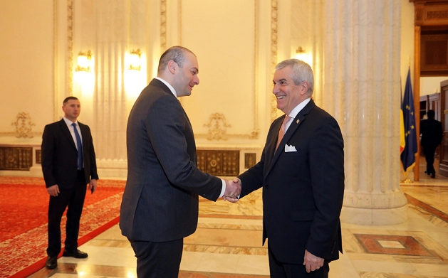 მამუკა ბახტაძე რუმინეთის სენატის პრეზიდენტს კალინ პოპესკუ-ტარიჩეანუს შეხვდა