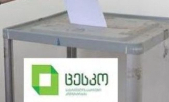 საგარეჯოსა და მარტვილში შუალედური არჩევნები ტარდება