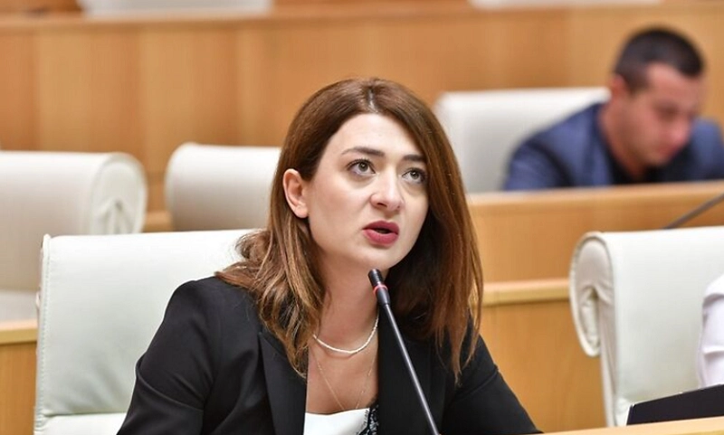 როდესაც ხელისუფლებაში ყოფნის მეათე წელს კადრების გავრცელებით ცდილობ პოლიტიკის მართვას, ამორალურობასთან ერთად, ეს არის დიაგნოზი „ქართული ოცნებისთვის“ - ანა ბუჩუკური